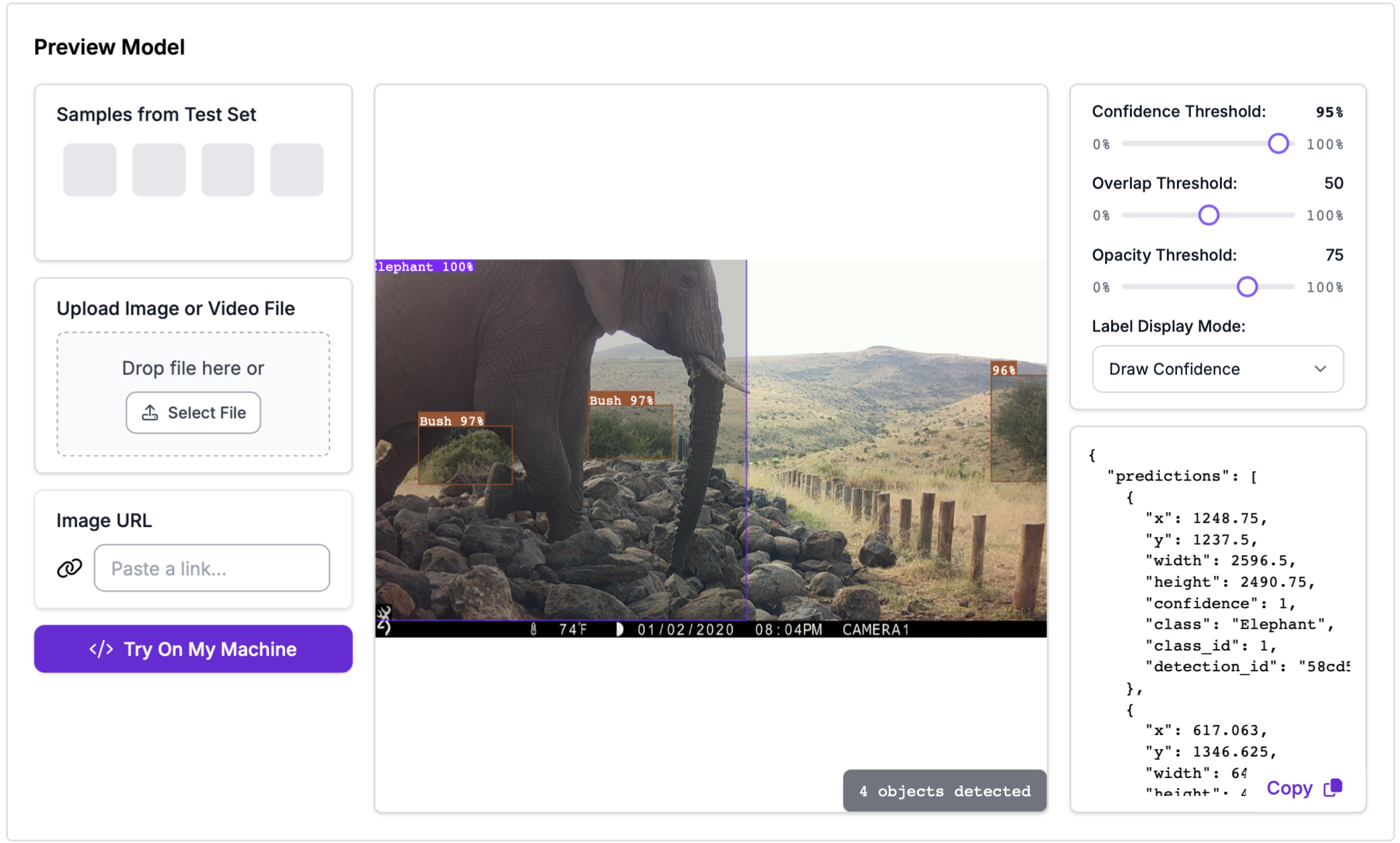 Model detecting elephant at 100% confidence