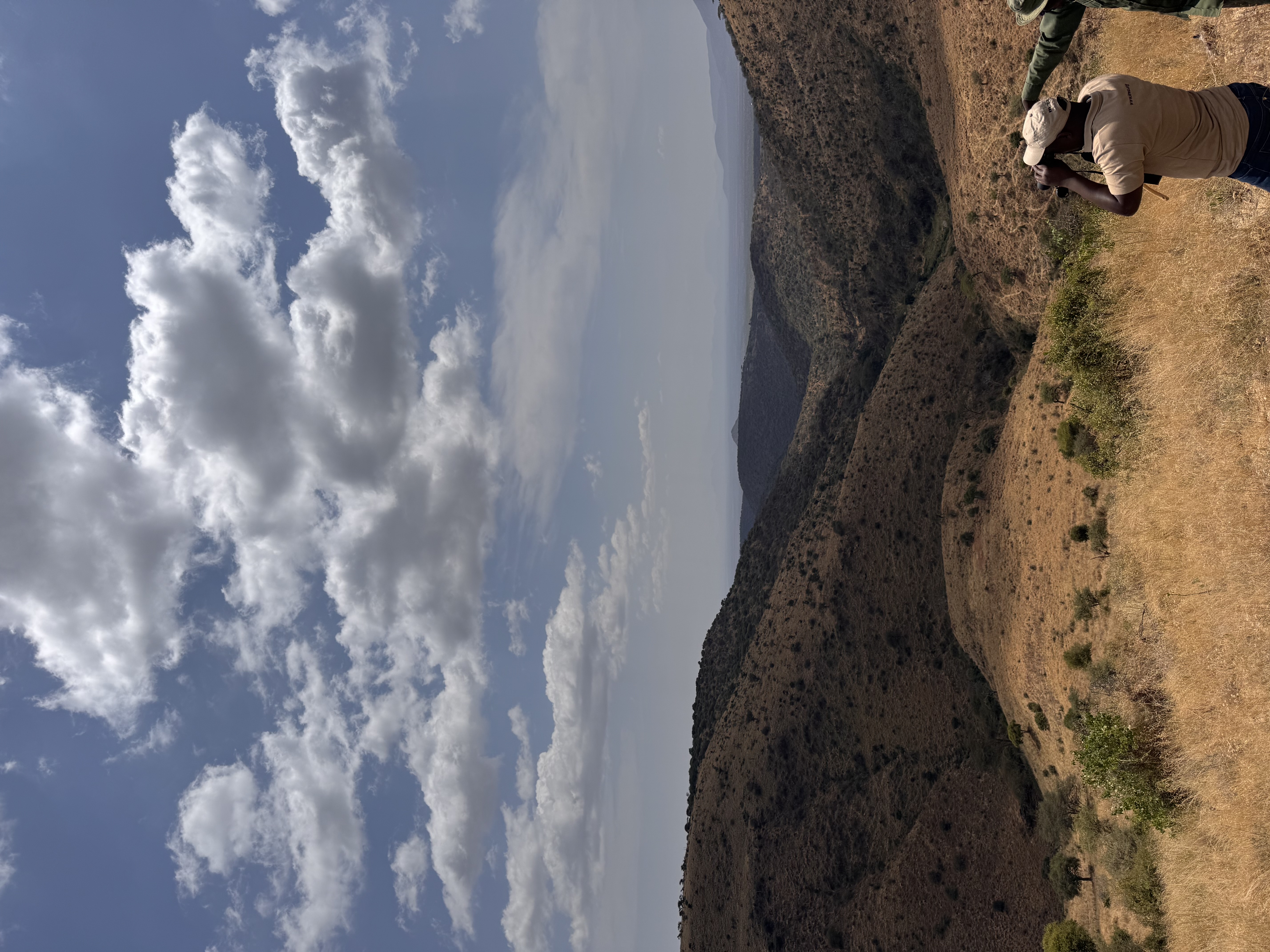 Ranger surveying the Lewa landscape
